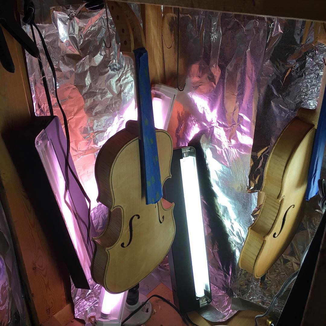 Viola Leonora and Violin Juliet in the drying cabinet. They both have the Balsam Ground varnish applied and drying. Getting ready to go to the Violin Varnish workshop in Chicago next week