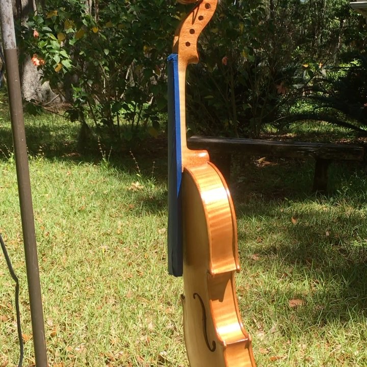 Violin Juliet getting her Florida sun tan, actually drying the latest